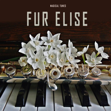 Fur Elise (Flute 8D Audio)