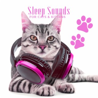 Sleep Sounds for Cats & Kittes: Soothing Music to Help Your Puppy Go to Sleep at Night, Relaxation Bedtime Songs & Calm Sleep Lullabies for Cats