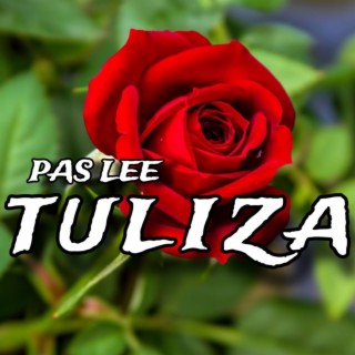 Tuliza