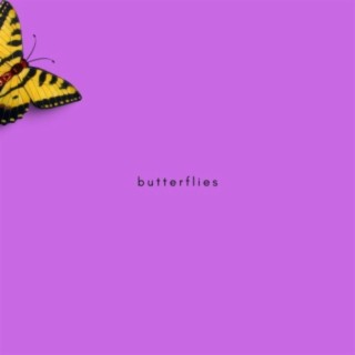 butterflies