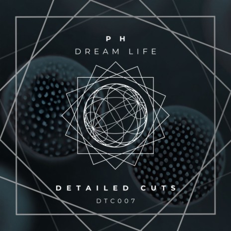 Dream Life | Boomplay Music