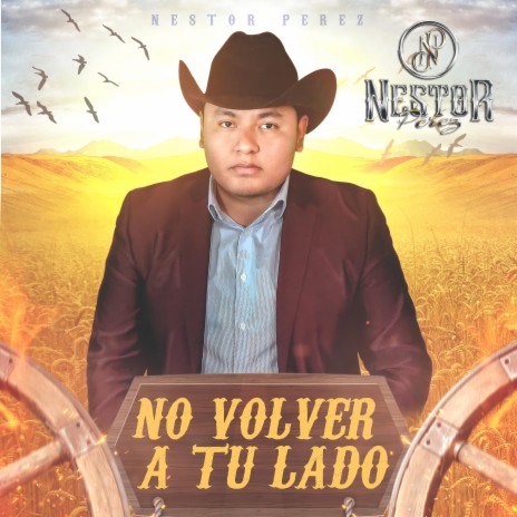 No volver a tu lado | Boomplay Music