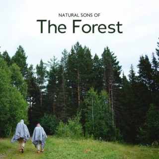 Natural Sons Of The Forest
