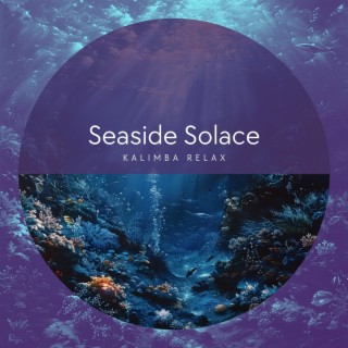 Seaside Solace: Finding Peace in the Ocean's Embrace