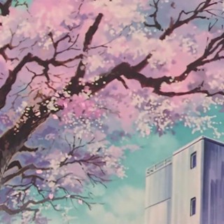 cherry blossom dream