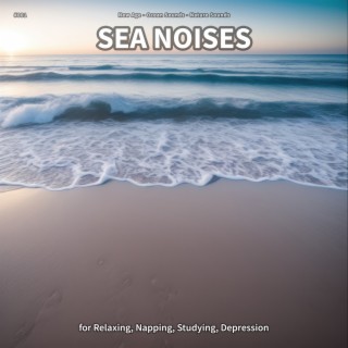#001 Sea Noises for Relaxing, Napping, Studying, Depression
