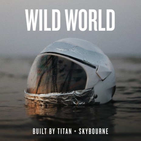 Wild World ft. Skybourne