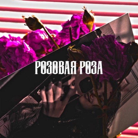 Розовая роза | Boomplay Music