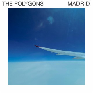 The Polygons