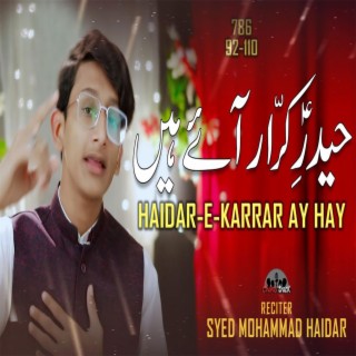 Haider e Karrar Aye Hain by Syed Mohammad Haider