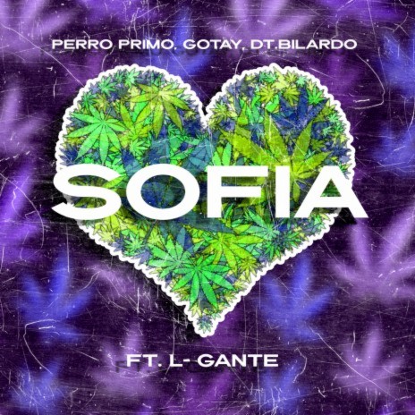 SOFIA ft. Gotay “El Autentiko", DT.Bilardo & L-Gante | Boomplay Music