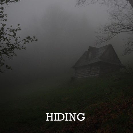 Hiding | Boomplay Music