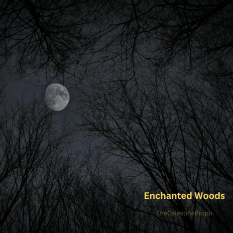 Enchanted Woods | Boomplay Music