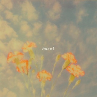 hazel