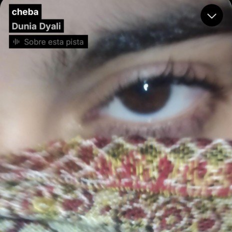 cheba | Boomplay Music