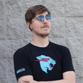 MR BEAST BEAUTIFUL SONG