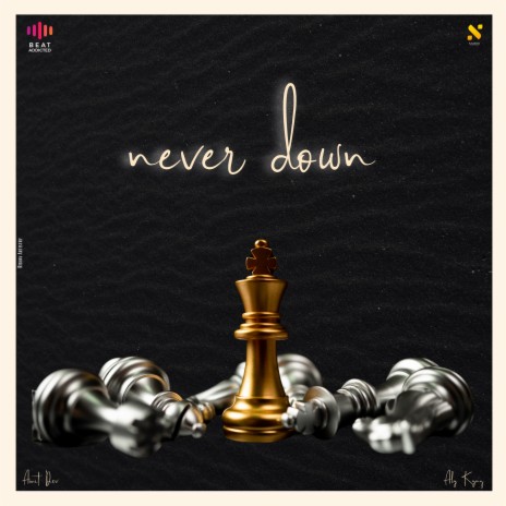 NEVER DOWN ft. Aly Kyng | Boomplay Music