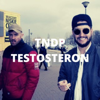 testosteron ft. TNDP lyrics | Boomplay Music