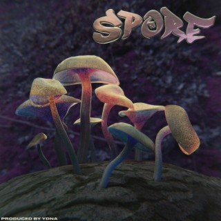 Spore