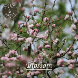 Blossom