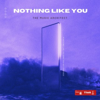 Nothing Like You