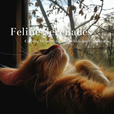 Feline Serenades | Boomplay Music
