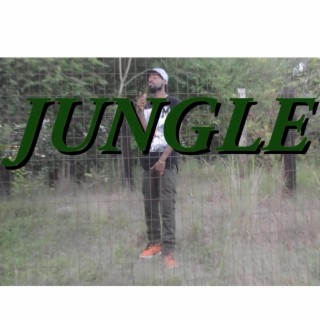 Jungle