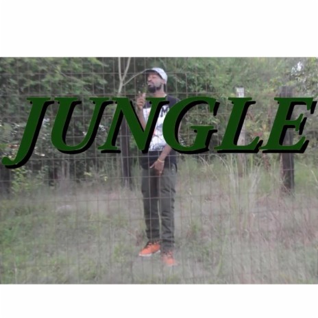 Jungle | Boomplay Music