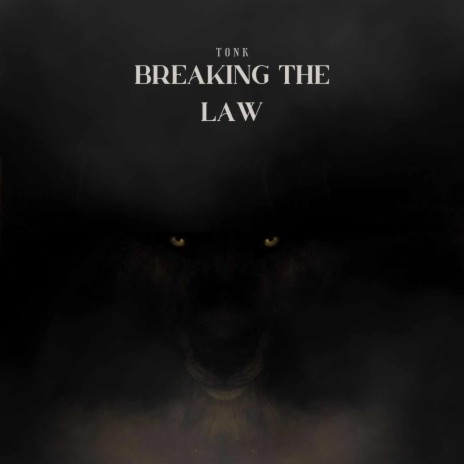 Breaking the law | Boomplay Music