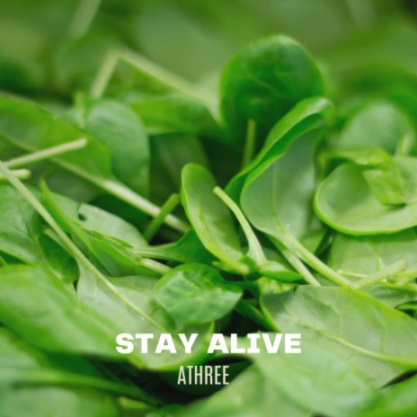 Stay Alive | Boomplay Music