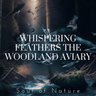 Whispering Feathers: the Woodland Aviary