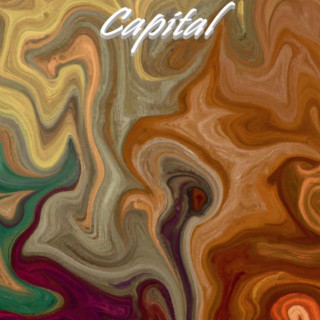 Capital