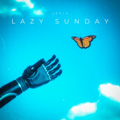 Lazy Sunday | Boomplay Music