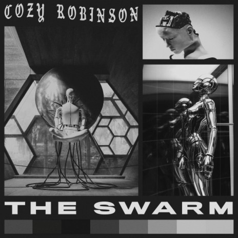 The Swarm | Boomplay Music