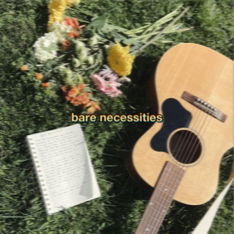 Bare Necessities | Boomplay Music