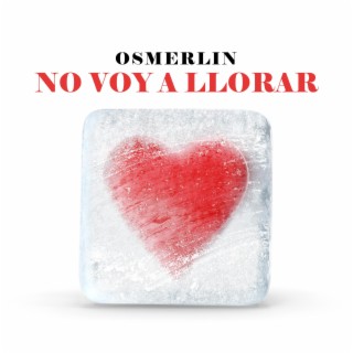 No Voy A Llorar lyrics | Boomplay Music