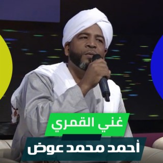 أحمد محمد عوض