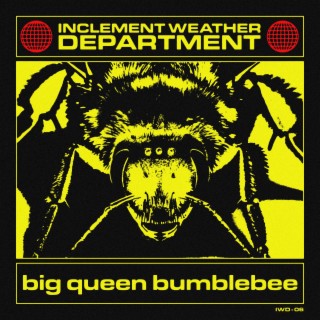 Big Queen Bumblebee