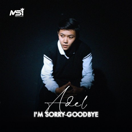 I'm Sorry Goodbye | Boomplay Music