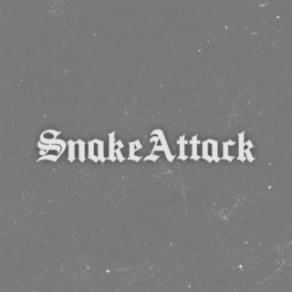SnakeAttack