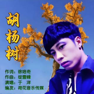 胡杨树 lyrics | Boomplay Music