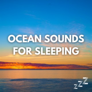 Live Recording of Ocean Waves (Loopable, No Fade)