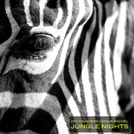 Jungle Nights ft. Emilie Rachel | Boomplay Music