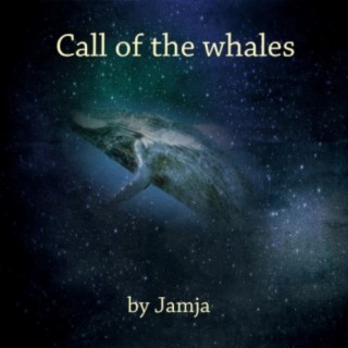 Call of the whales