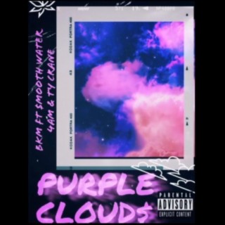 Purple Cloud$ (feat. $MOOTH WATER 4AM & Ty Crane)