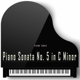 Piano Sonata No. 5 in C Minor (1st Movement)