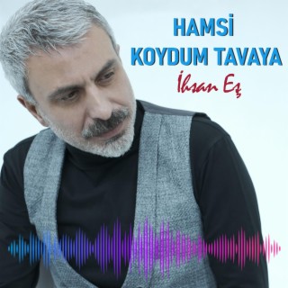 Hamsi Koydum Tavaya lyrics | Boomplay Music