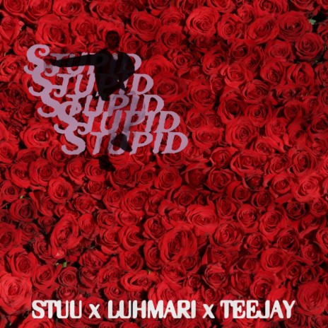 STUPID ft. LUHMARI & TEEJAY | Boomplay Music