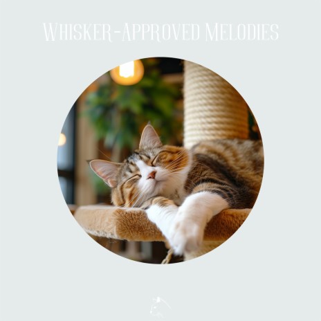 Whisker-Approved Melodies | Boomplay Music