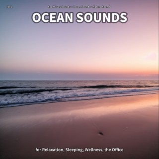 #001 Ocean Sounds for Relaxation, Sleeping, Wellness, the Office